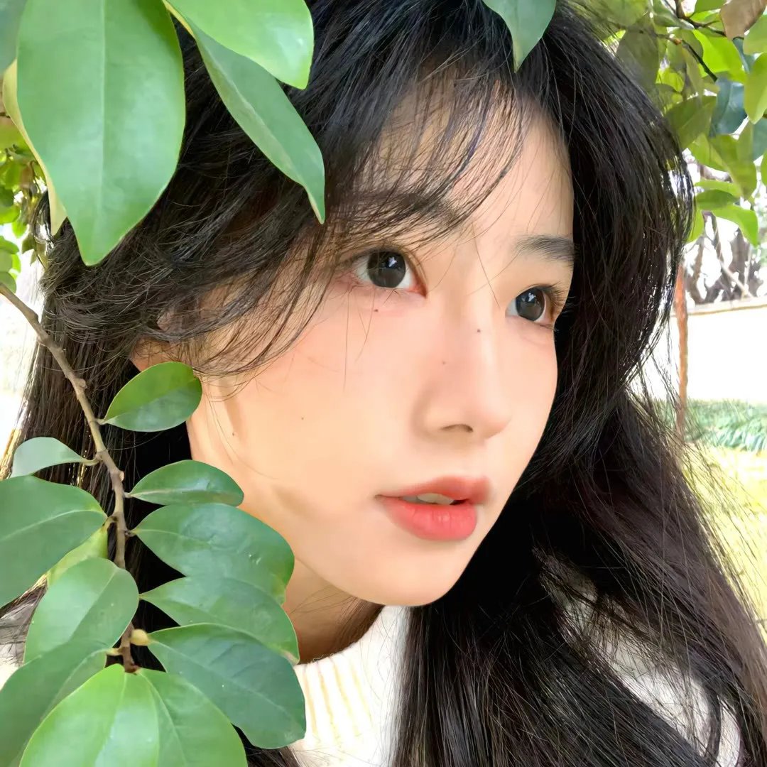 战火之花